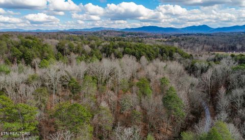 Tiny photo for 44 Cedarwood Circle, Newport, TN 37821 (MLS # 1328260)