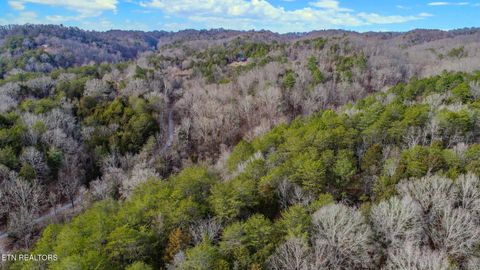 Tiny photo for 44 Cedarwood Circle, Newport, TN 37821 (MLS # 1328260)