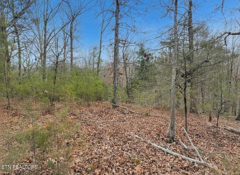 Tiny photo for 44 Cedarwood Circle, Newport, TN 37821 (MLS # 1328260)