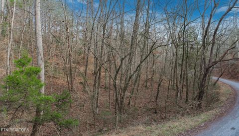 Tiny photo for 44 Cedarwood Circle, Newport, TN 37821 (MLS # 1328260)