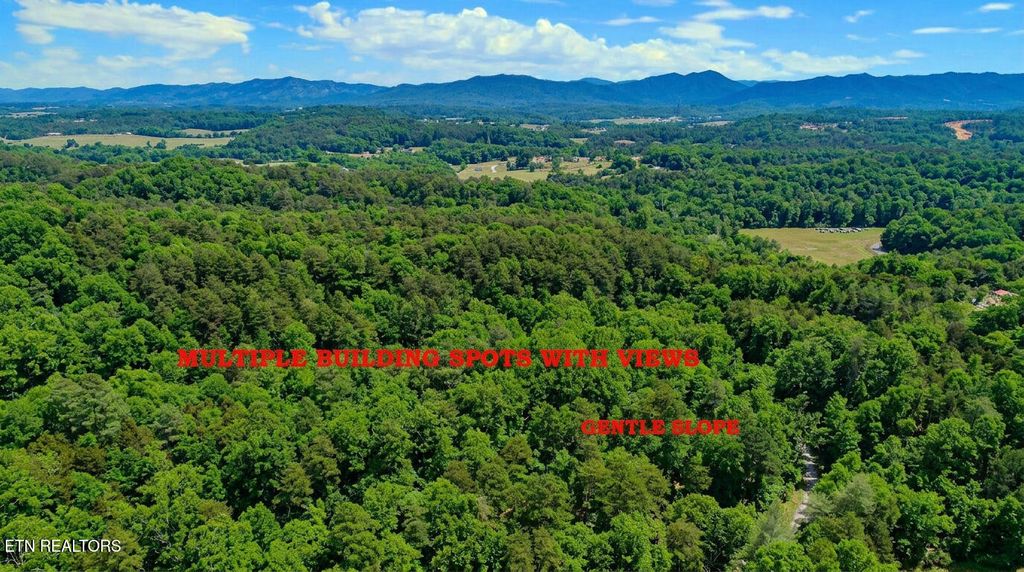 Photo of 44 Cedarwood Circle, Newport, TN 37821 (MLS # 1328260)