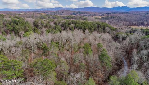 Tiny photo for 44 Cedarwood Circle, Newport, TN 37821 (MLS # 1328260)