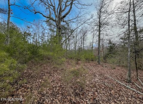 Tiny photo for 44 Cedarwood Circle, Newport, TN 37821 (MLS # 1328260)
