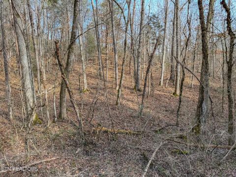 Tiny photo for 44 Cedarwood Circle, Newport, TN 37821 (MLS # 1328260)