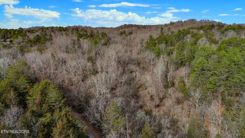 Tiny photo for 44 Cedarwood Circle, Newport, TN 37821 (MLS # 1328260)