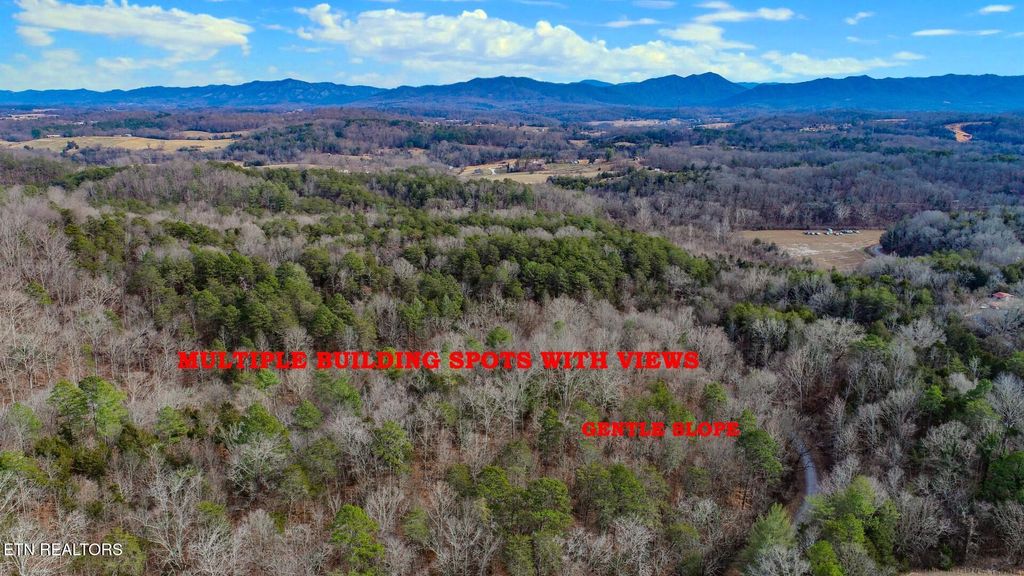 Photo of 44 Cedarwood Circle, Newport, TN 37821 (MLS # 1328260)