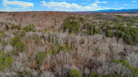 Tiny photo for 44 Cedarwood Circle, Newport, TN 37821 (MLS # 1328260)