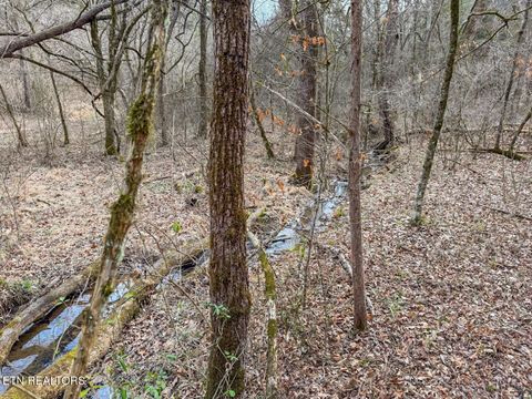 Tiny photo for 44 Cedarwood Circle, Newport, TN 37821 (MLS # 1328260)