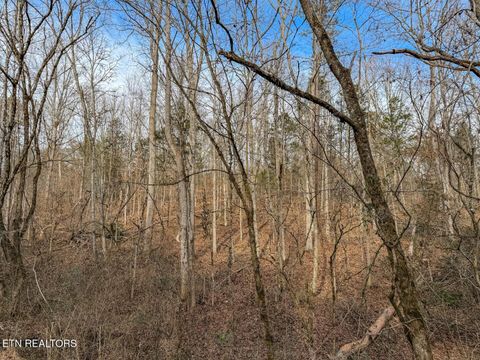 Tiny photo for 44 Cedarwood Circle, Newport, TN 37821 (MLS # 1328260)