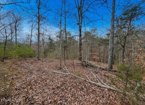 Tiny photo for 44 Cedarwood Circle, Newport, TN 37821 (MLS # 1328260)