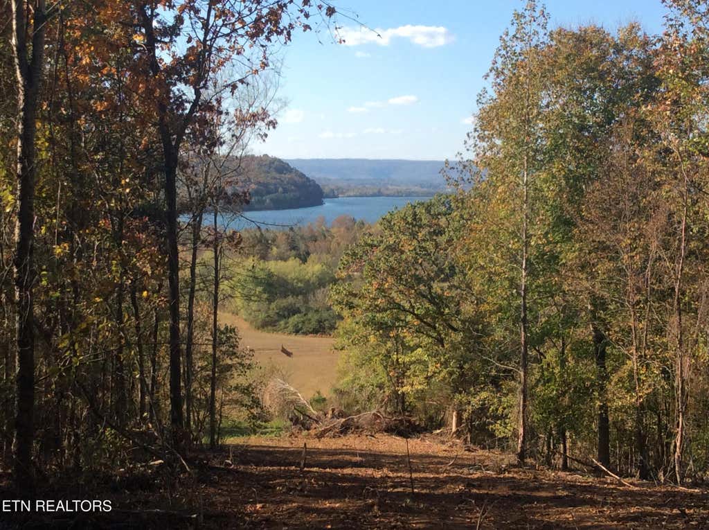 Photo of 219 Case Circle, Decatur, TN 37322 (MLS # 1298335)