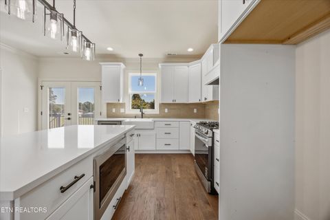 Tiny photo for 1011 Morris St, Sweetwater, TN 37874 (MLS # 1317787)