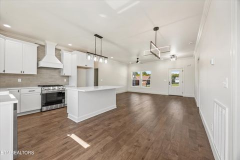 Tiny photo for 1011 Morris St, Sweetwater, TN 37874 (MLS # 1317787)