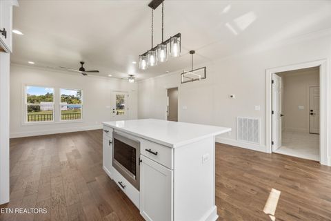 Tiny photo for 1011 Morris St, Sweetwater, TN 37874 (MLS # 1317787)