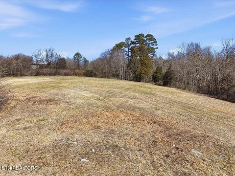 Tiny photo for 121 Cow Poke Lane, Rutledge, TN 37861 (MLS # 1330027)