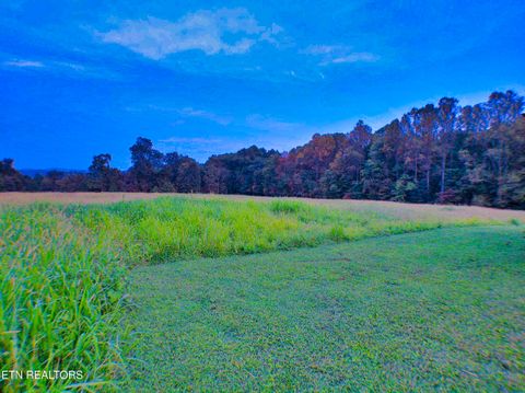 Tiny photo for 1139 Deer Lodge Hwy Hwy, Sunbright, TN 37872 (MLS # 1316630)