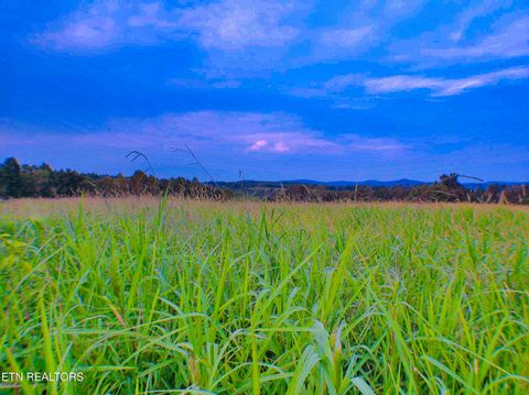 Tiny photo for 1139 Deer Lodge Hwy Hwy, Sunbright, TN 37872 (MLS # 1316630)