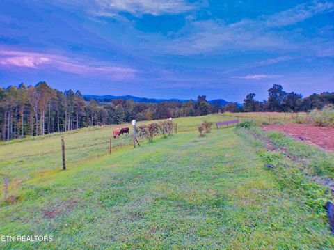 Tiny photo for 1139 Deer Lodge Hwy Hwy, Sunbright, TN 37872 (MLS # 1316630)