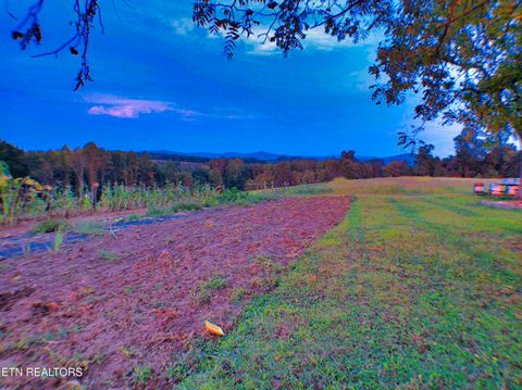 Tiny photo for 1139 Deer Lodge Hwy Hwy, Sunbright, TN 37872 (MLS # 1316630)