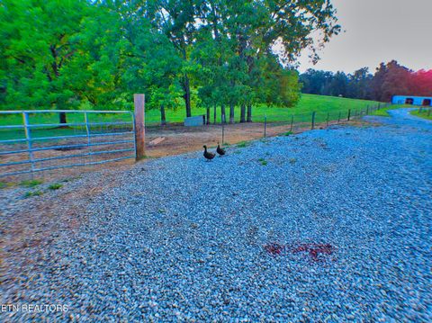 Tiny photo for 1139 Deer Lodge Hwy Hwy, Sunbright, TN 37872 (MLS # 1316630)