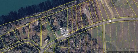 Tiny photo for 55515611 River Road, Decatur, TN 37322 (MLS # 1349183)