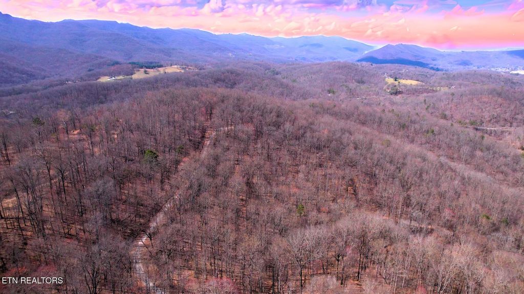 Photo of 2297 Shady Cove Rd, Caryville, TN 37714 (MLS # 1293641)