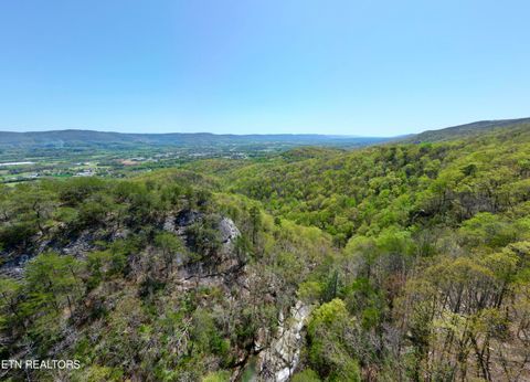 Old Spencer Rd. - 175 Acres Pikeville TN 37367