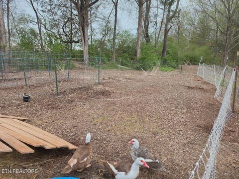 Tiny photo for 196 Southside Rd, Sweetwater, TN 37874 (MLS # 1334455)