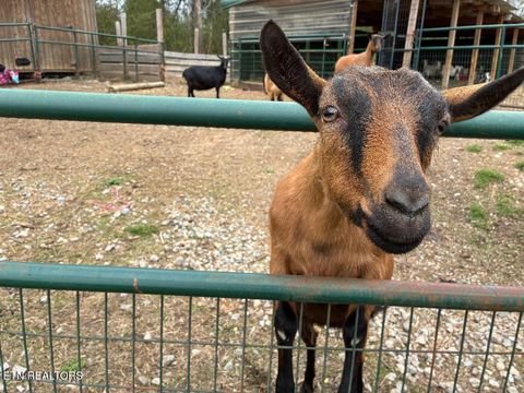 Tiny photo for 196 Southside Rd, Sweetwater, TN 37874 (MLS # 1334455)