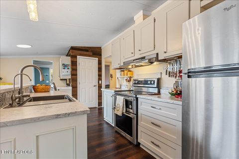 Tiny photo for 196 Southside Rd, Sweetwater, TN 37874 (MLS # 1334455)