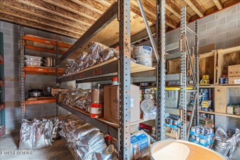 Tiny photo for 196 Southside Rd, Sweetwater, TN 37874 (MLS # 1334455)