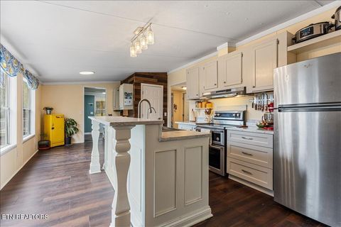 Tiny photo for 196 Southside Rd, Sweetwater, TN 37874 (MLS # 1334455)