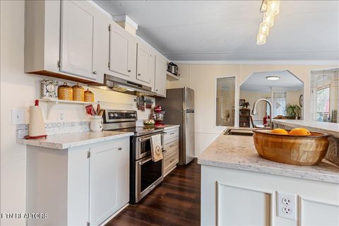 Tiny photo for 196 Southside Rd, Sweetwater, TN 37874 (MLS # 1334455)