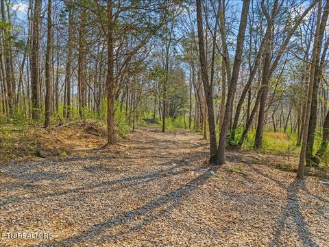 Tiny photo for 196 Southside Rd, Sweetwater, TN 37874 (MLS # 1334455)