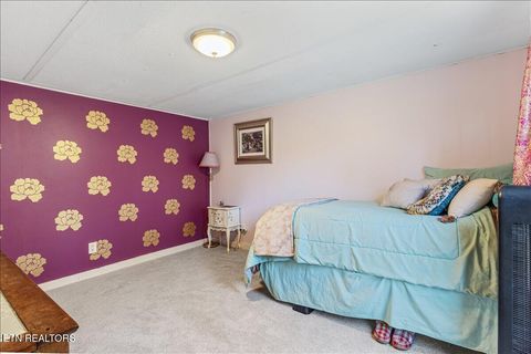 Tiny photo for 196 Southside Rd, Sweetwater, TN 37874 (MLS # 1334455)