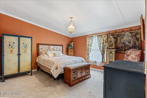 Tiny photo for 196 Southside Rd, Sweetwater, TN 37874 (MLS # 1334455)