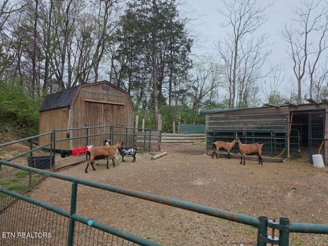 Tiny photo for 196 Southside Rd, Sweetwater, TN 37874 (MLS # 1334455)