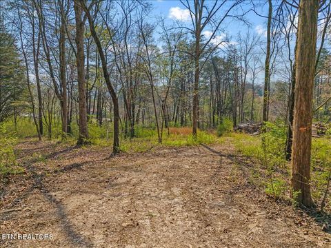 Tiny photo for 196 Southside Rd, Sweetwater, TN 37874 (MLS # 1334455)