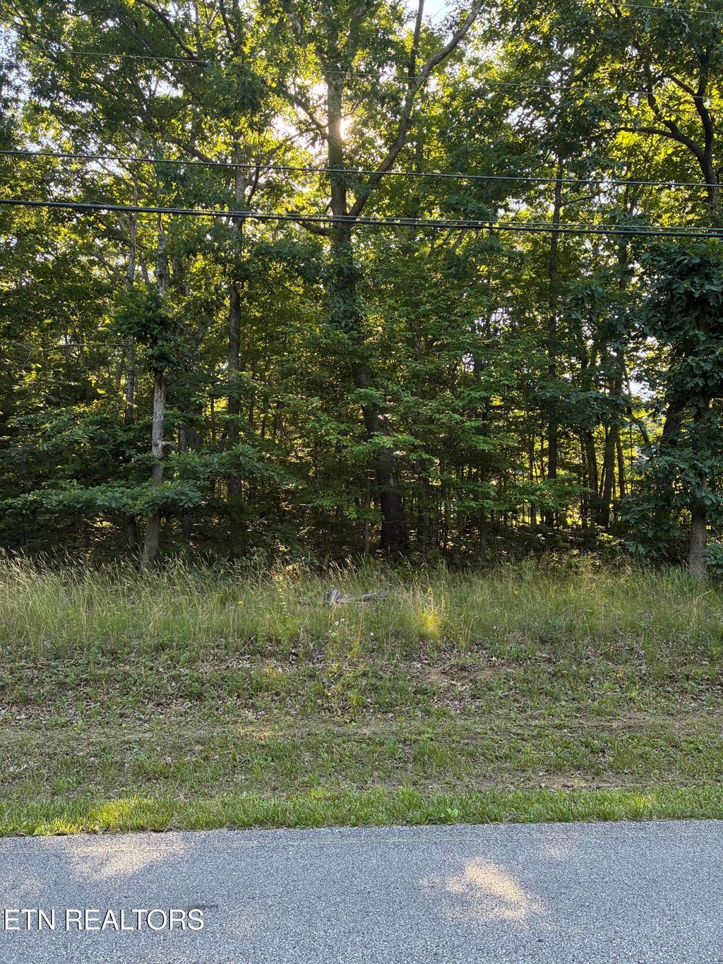 Photo of 148 Manchester Rd, Crossville, TN 38558 (MLS # 1343478)