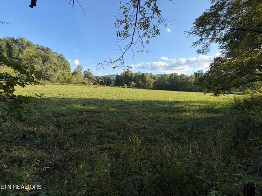 5441 WHITE OAK RD, DUFF, TN 37729 - Image da54ff9ca202ec110efa7b1a6f118580/316911602