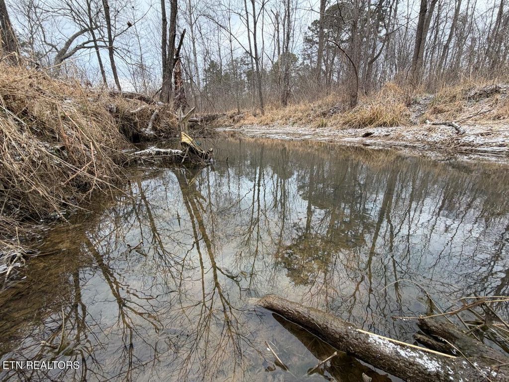 Photo of 5441 White Oak Rd, Duff, TN 37729 (MLS # 1326665)