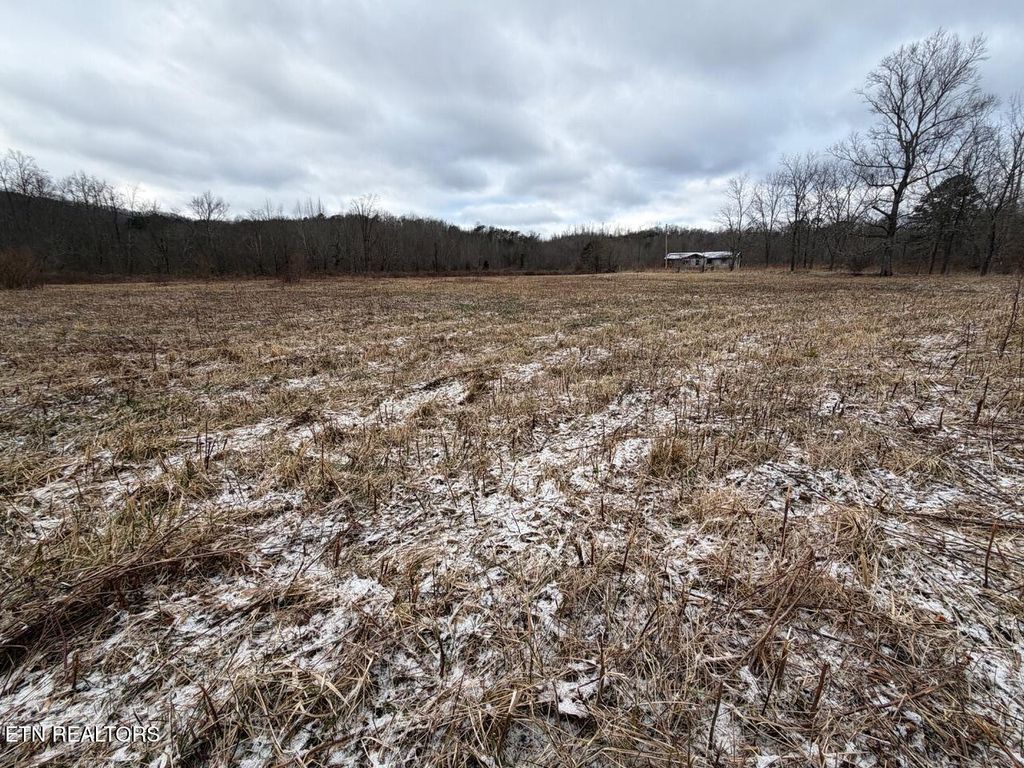 Photo of 5441 White Oak Rd, Duff, TN 37729 (MLS # 1326665)