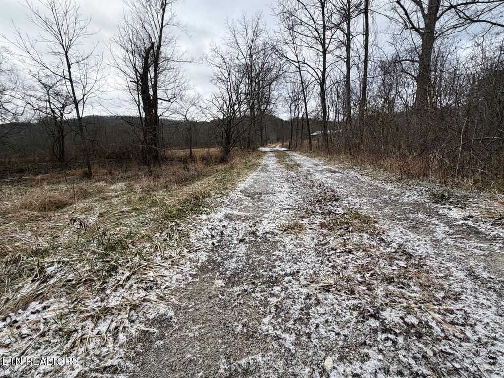 Photo of 5441 White Oak Rd, Duff, TN 37729 (MLS # 1326665)