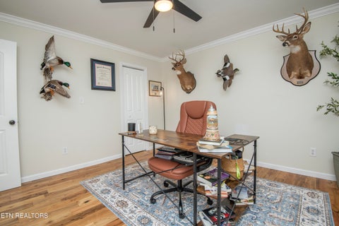 Tiny photo for 10409 Ginger Lane, Knoxville, TN 37932 (MLS # 1349076)