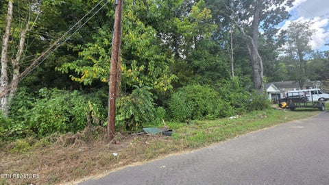 Tiny photo for 1233 Ohio Ave, Knoxville, TN 37921 (MLS # 1353949)
