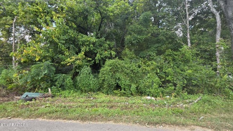 Photo of 1233 Ohio Ave, Knoxville, TN 37921 (MLS # 1353949)