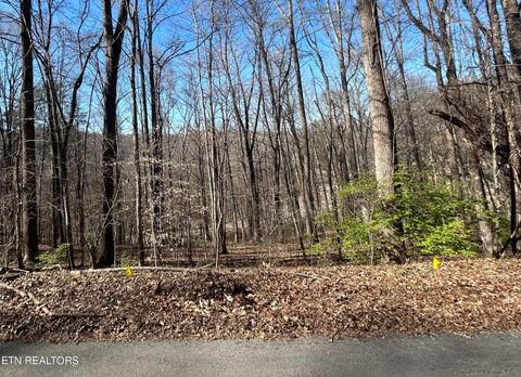 206 Cumberland View Estates Rocky Top TN 37769