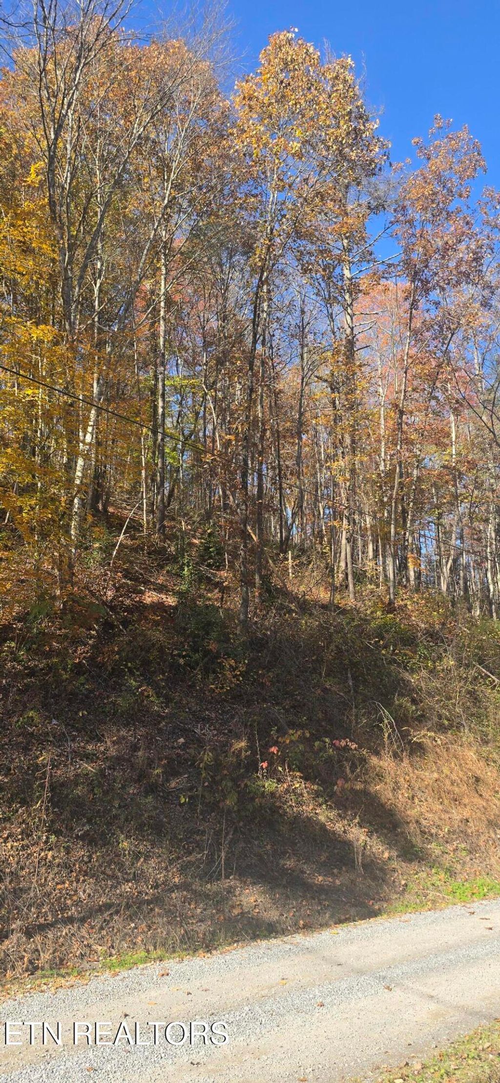 Photo of Emerald Springs Loop, Sevierville, TN 37862 (MLS # 1321204)
