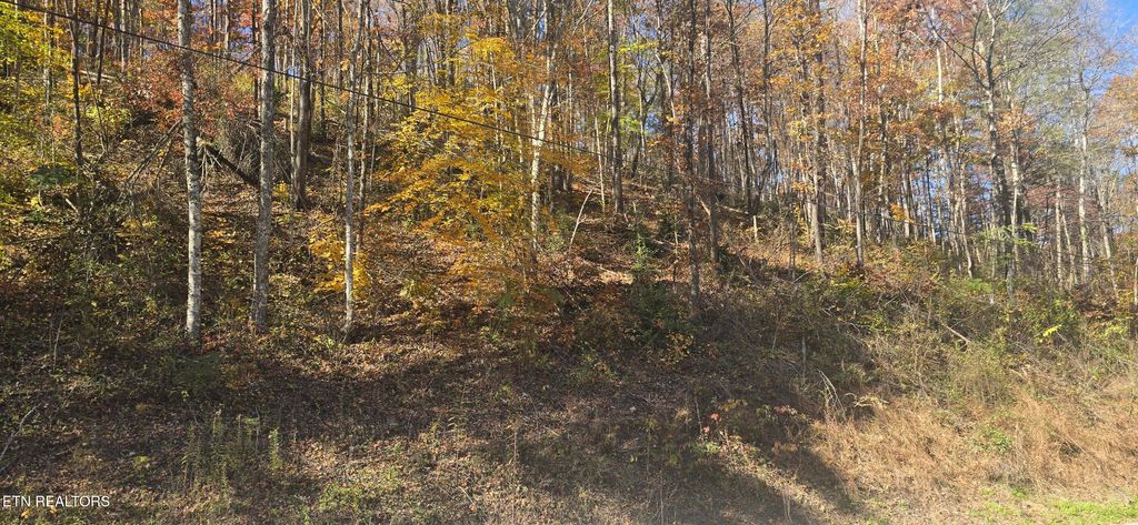 Photo of Emerald Springs Loop, Sevierville, TN 37862 (MLS # 1321204)