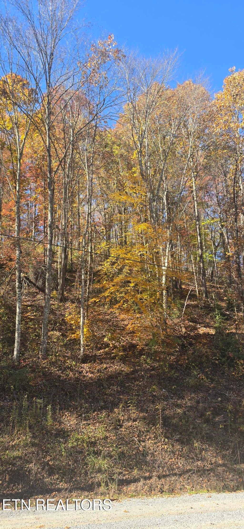 Photo of Emerald Springs Loop, Sevierville, TN 37862 (MLS # 1321204)